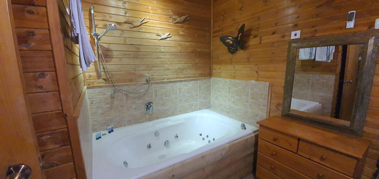 Kinneret Sounds Chalet